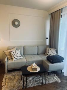 Χώρος καθιστικού στο Apartament BonHaus Grzegórzecka