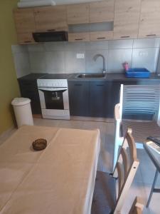 a kitchen with a table and a sink at Petries Apartment in Petriaí +13 photos