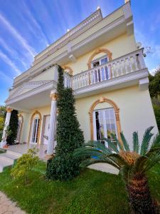 a house with a tree in front of it at Vila Dy Bukurite in Draçi