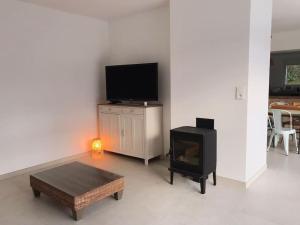 HeudicourtにあるMaison Origines - Escapade au vertの暖炉とテレビのあるリビングルーム