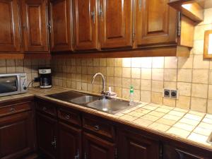 a kitchen with a sink and a microwave at Guesthouse La maison de Fille in Diest