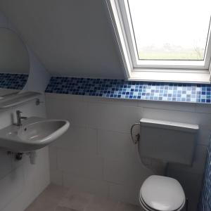 a bathroom with a toilet and a sink and a window at appartement met 5 slaapkamers in Moerstraten