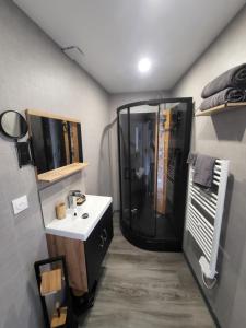 a bathroom with a shower and a sink at Cocon in La Souterraine