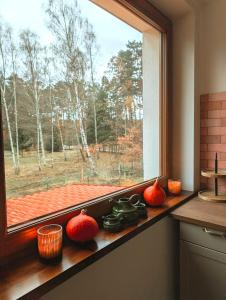 Gallery image of Wilczy Apartament in Rudna