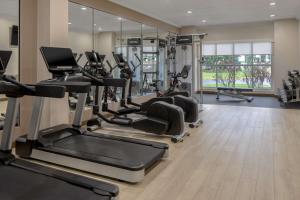 Γυμναστήριο ή/και όργανα γυμναστικής στο DoubleTree Suites by Hilton Mount Laurel