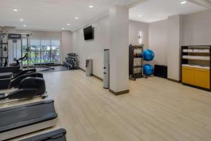 Γυμναστήριο ή/και όργανα γυμναστικής στο DoubleTree Suites by Hilton Mount Laurel