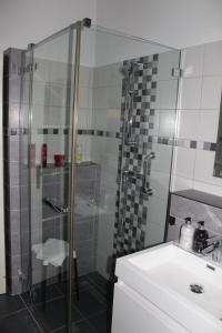 Apartmán Nerudova的一间浴室