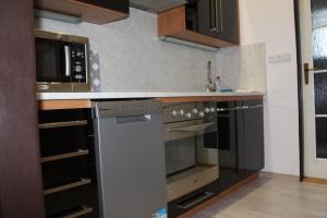 Apartmán Nerudova的厨房或小厨房