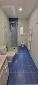 a bathroom with two toilets and a blue tile floor at Vivienda Mirasierra in Béjar +15 photos