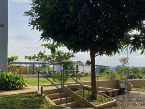 a tree in a park with stairs next to a tree at Concetta Tourist Inn in Damilag