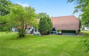 a house with a yard with a tree at Holiday Home Møllevangen in Ovtrup +17 photos