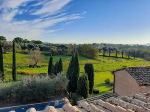 a view of the garden from the house at Appartamenti Leccino e Moraiolo in Siena