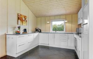Kuchyň nebo kuchyňský kout v ubytování Holiday Home Ellemose Sydals