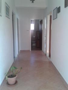 Fotografia z galérie ubytovania Apartments Ivo v destinácii Veli Rat