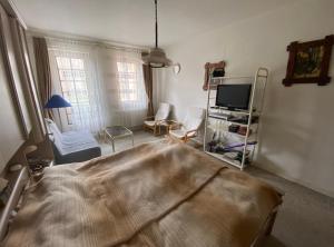 Chogan Apartman 8380 Hévíz, Erzsébet királyné útja 11 kép - 3