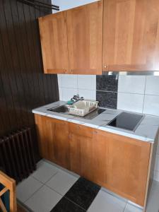 a kitchen with wooden cabinets and a sink at Studios Šumska Kuća 1 in Kopaonik