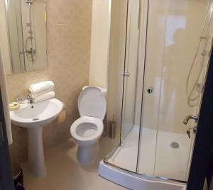 a bathroom with a toilet and a shower and a sink at Casuta Din Padure in Drăguş +26 photos