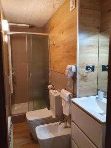 a bathroom with a toilet and a sink and a shower at Alpin House Tonale in Passo del Tonale
