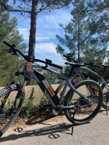 a bike parked next to a tree on a road at "Le central" Appart Arles in Arles