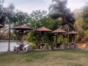 イトゥーにあるChalé 1101 - Camping Carrion em Ituの水辺の草傘