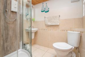 ein Badezimmer mit Toilette, Dusche und Waschbecken in der Unterkunft Ivy Cottage in Haverfordwest + 19 Fotos