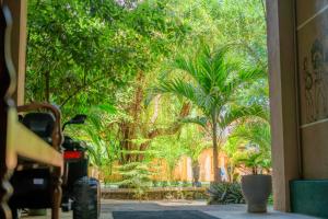 Gallery image of Monkey villa in Hikkaduwa +44 photos