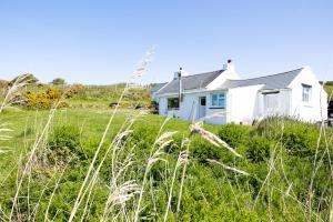 una casa en un campo con hierba alta en Penrhyn, en Goodwick
