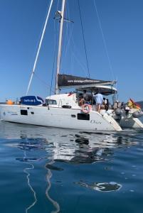 ビーゴにあるCatamaran Orionの水上に浮かぶ白帆船