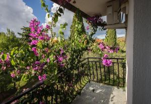 Zahrada ubytování Apartments Daju