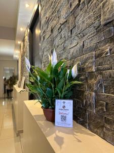 a potted plant sitting on a counter in a lobby at Candia Rooms in Rome