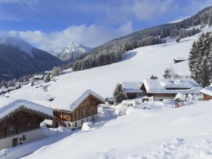 Oberhof Apt Mutegg during the winter