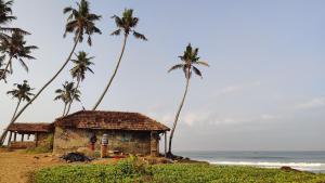 a man standing in a shack on the beach with palm trees at Phoenix homestay in Varkala