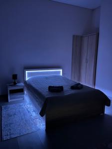 a bedroom with a bed in a blue room at Gabriel in Šveicarija