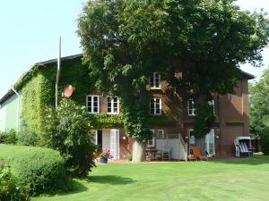 Κήπος έξω από το Haus Mühlenhof 5