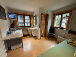 TV a/nebo společenská místnost v ubytování Chalet Medi