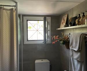 a bathroom with a toilet and a window at The Lake house Feneos in Archaia Feneos