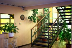 Fotografie z fotogalerie ubytování Hotel Palmeras v destinaci Quillota