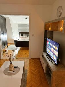 TV a/nebo společenská místnost v ubytování Dekster apartmani