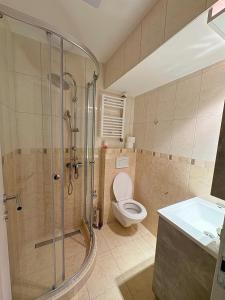 Koupelna v ubytování Dekster apartmani