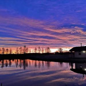 Gallery image of Wildflower Eco Lodges in Fraserburgh