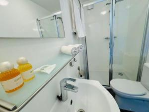 a bathroom with a sink and a toilet and a mirror at ''Statia'' Cozy & Romantic Houseboat in Maastricht in Maastricht