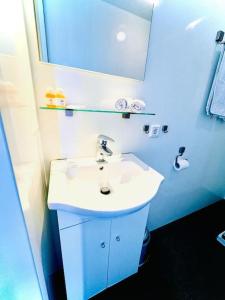 a bathroom with a white sink and a mirror at ''Statia'' Cozy & Romantic Houseboat in Maastricht in Maastricht