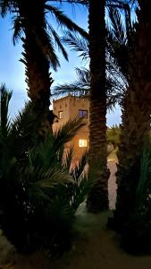 a building with palm trees in front of it at Hotel Riad Le Petit Prince in Merzouga