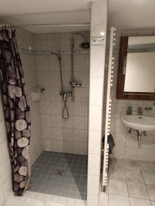 Bilik mandi di Ferienwohnung Rolandseck 2 Hauptstraße 42 a