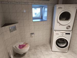 a bathroom with a washing machine and a toilet at Ferienwohnung Rolandseck 2 Hauptstraße 42 a in Wahnwegen