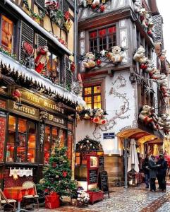 a christmas tree on the side of a building at Gites Spa Strasbourg - Appartement in Furdenheim