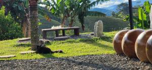 Zahrada ubytování Hobbit Hotel El peñol Guatapé