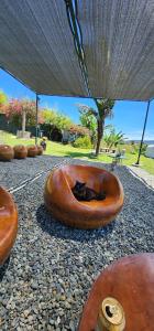 Zahrada ubytování Hobbit Hotel El peñol Guatapé
