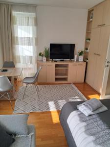 TV a/nebo společenská místnost v ubytování Manhattan studio Seboj Belvil