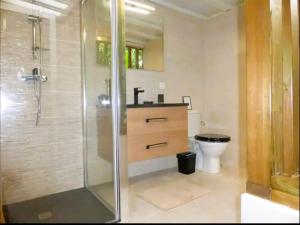 a bathroom with a shower and a sink and a toilet at Villa Ti Gîte - Piscine privée in Le Marin